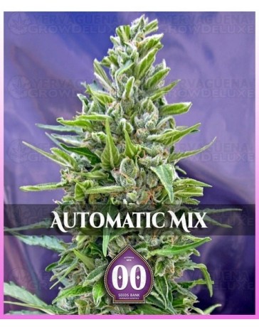 Automatic Mix 00 Seeds autofloreciente