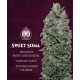 Sweet Soma 00 Seeds