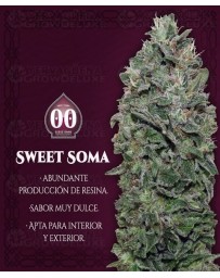 Sweet Soma 00 Seeds