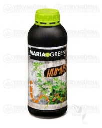 Humus Maria Green