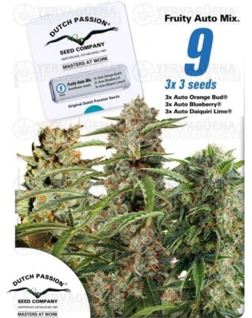 Fruity Autoflower Mix Dutch Passion Autofloreciente