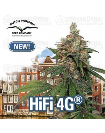 Hifi 4G Dutch Passion