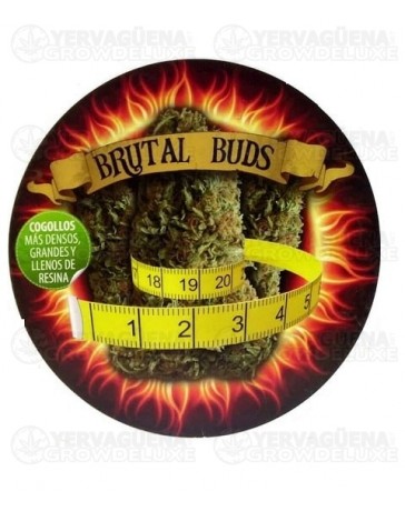 Brutal Buds VDL