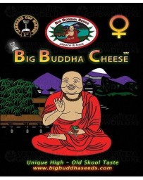 Big Buddha Cheese Big Buddha Seeds