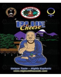 Blue Cheese Big Buddha Seeds