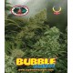 Bubble Cheese Big Buddha Seeds