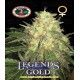Legends Gold  Big Buddha Seeds