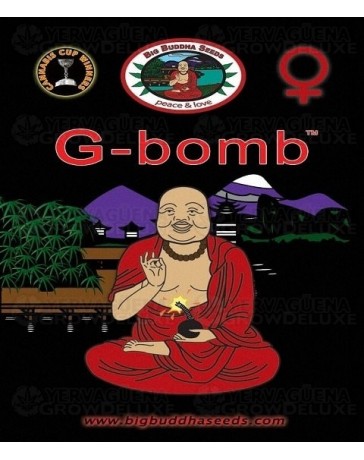 G-Bomb Big Buddha Seeds