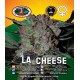 L.A. Cheese Big Buddha Seeds