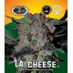 L.A. Cheese Big Buddha Seeds