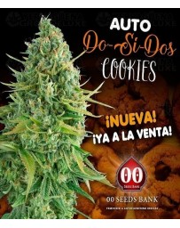 Auto Do-Si-Dos Cookies 00 Seeds Autofloreciente