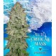 Auto Critical Mass Advanced Seeds