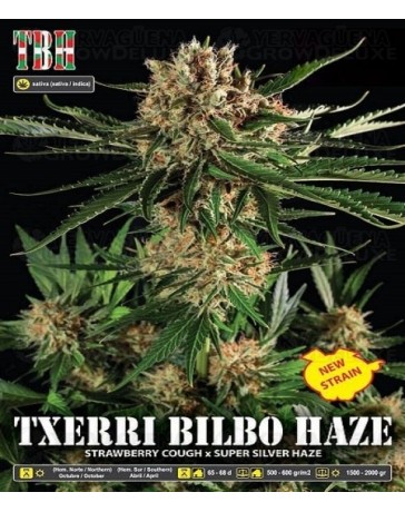 Txerry Bilbo Haze Genehtik