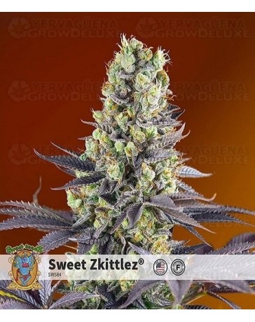 Sweet Zkittlez Sweet Seeds