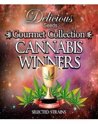 Gourmet Collection Cannabis Winners 1 Delicious Seeds