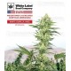 White Gorilla Haze White Label