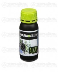 Algas Maria Green