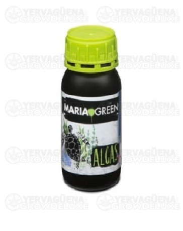 Algas Maria Green