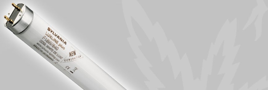 Fluorescentes de Bajo Consumo | Comprar en Yervaguena