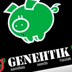 Genehtik