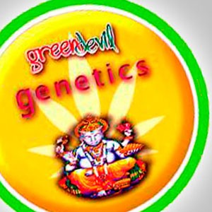 Green Devil Genetics