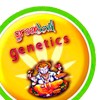 Green Devil Genetics semillas