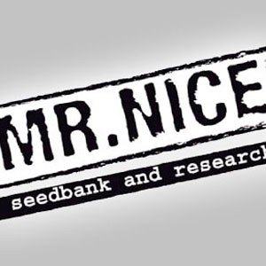 Mr. Nice