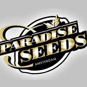 Imagen de Paradise Seeds