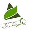 Logo de Pyramid Seeds