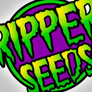 Ripper Seeds