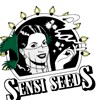 Sensi Seeds semillas