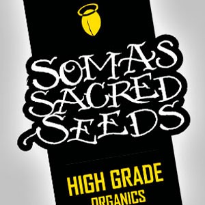 Soma Seeds