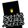 Soma Seeds semillas