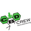 CBD Crew semillas