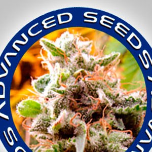 Advanced Seeds