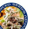 Advanced Seeds semillas