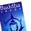 Logo de Buddha Seeds