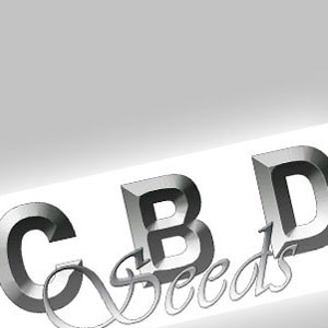 CBD Seeds