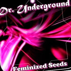 Dr. Underground