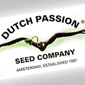 Imagen de Dutch Passion