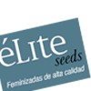 Elite Seeds semillas