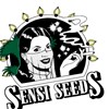 Sensi Seeds