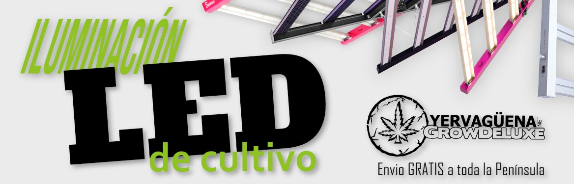 La mejor y más eficiente iluminación led