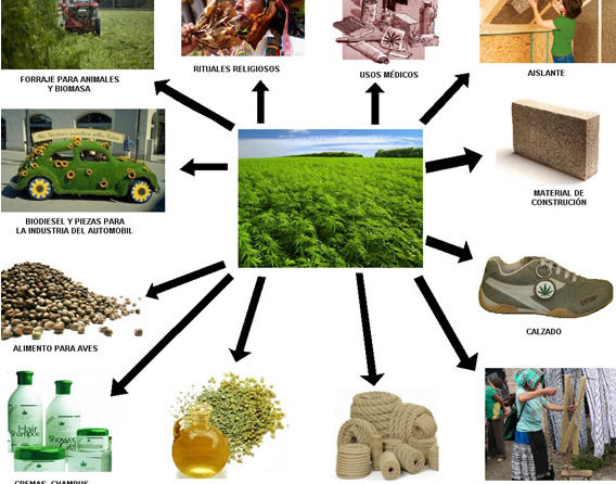 Usos del cannabis