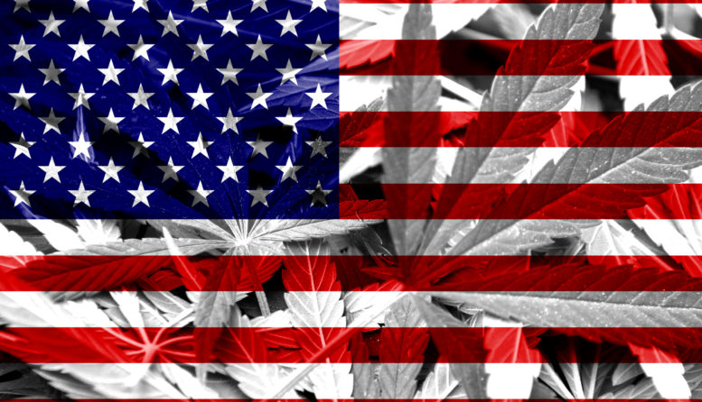 Nuevos avances en la legalización EEUU