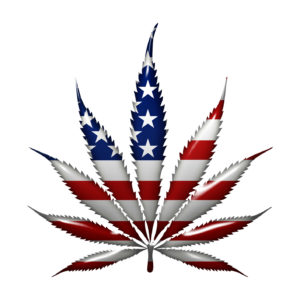 Marijuana in the USA