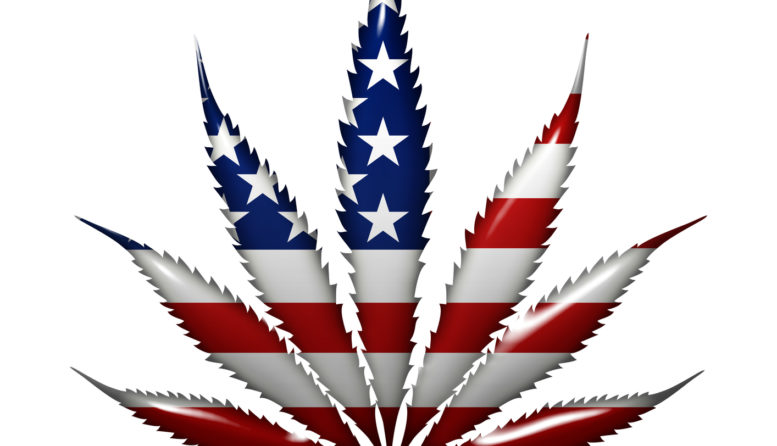 La marihuana pudo ser legal en EEUU en los 70