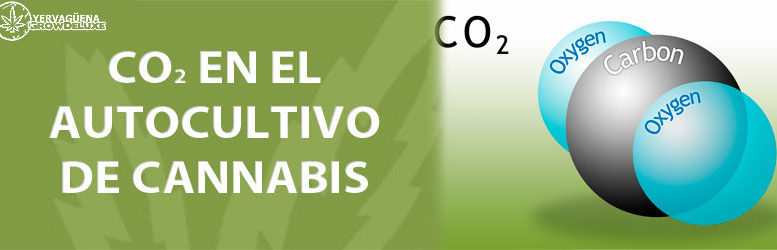 CO2 para tu autocultivo de marihuana