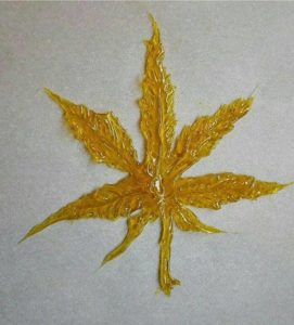 hoja de BHO hoja de BHO