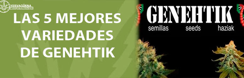 Las 5 mejores variedades de marihuana de Genehtik